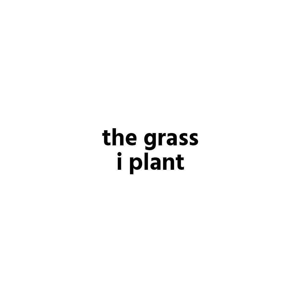 https://marinadykukha.com/wp-content/uploads/2023/05/the-grass-i-plant_.jpg